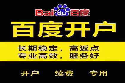 百度SEM代运营案例揭秘，如何实现ROI最大化