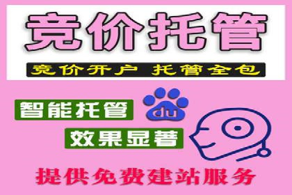 掌握sem推广竞价技巧，打造高效广告策略